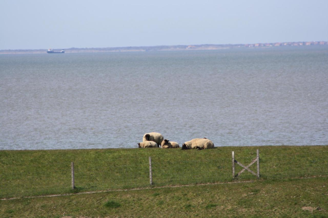 Gasthof Grosser Krug Norddeich  Buitenkant foto
